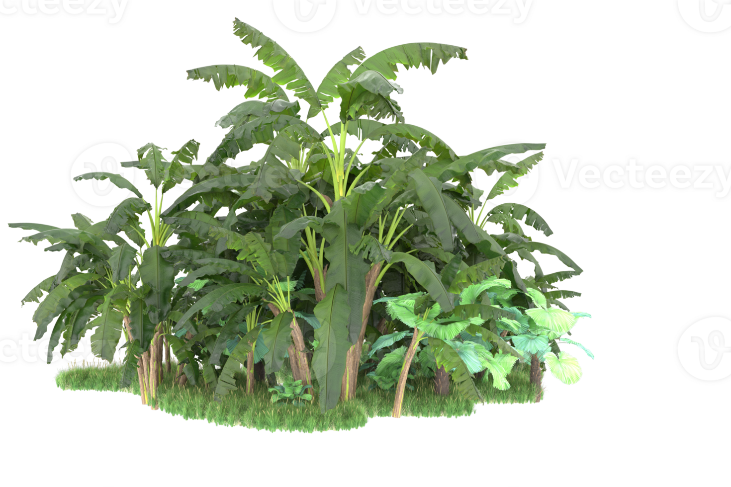 Realistic forest isolated on transparent background. 3d rendering - illustration png