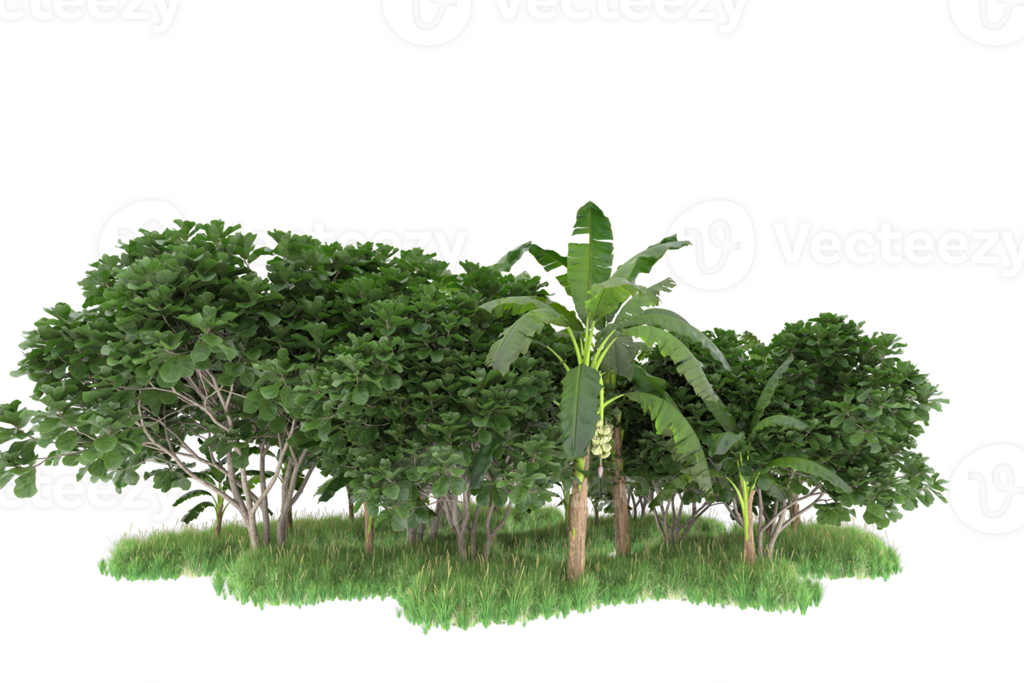 Realistic forest isolated on transparent background. 3d rendering - illustration png