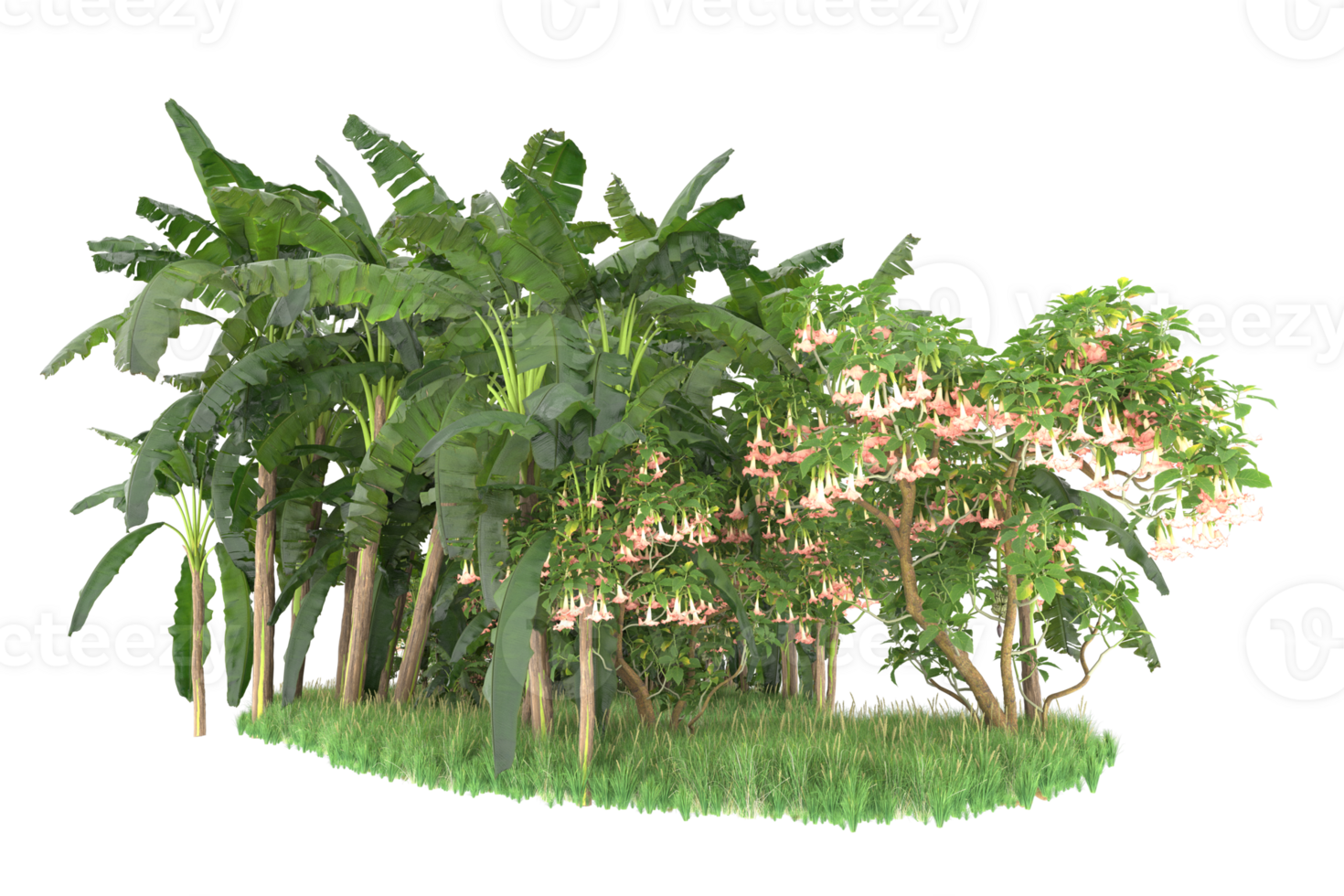 Realistic forest isolated on transparent background. 3d rendering - illustration png