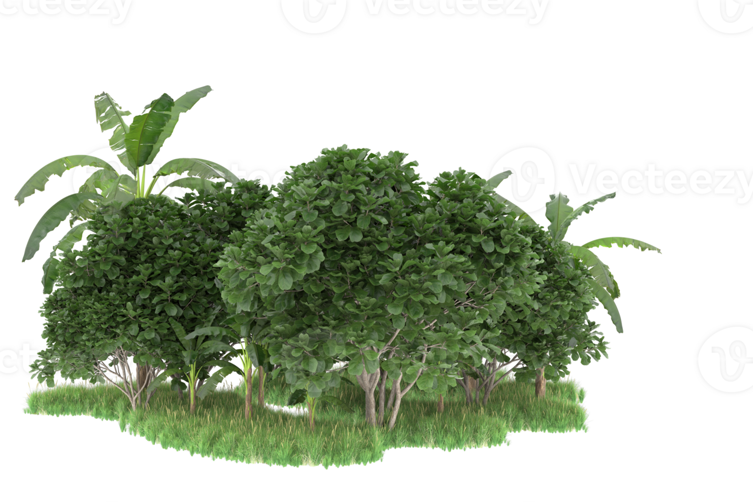 Realistic forest isolated on transparent background. 3d rendering - illustration png