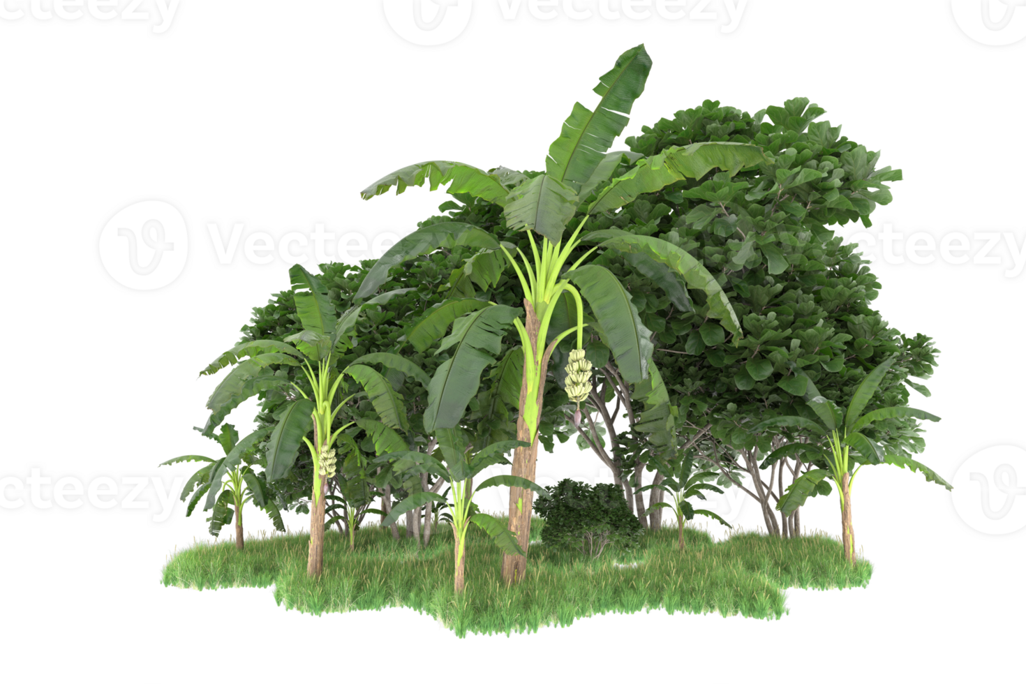 Realistic forest isolated on transparent background. 3d rendering - illustration png
