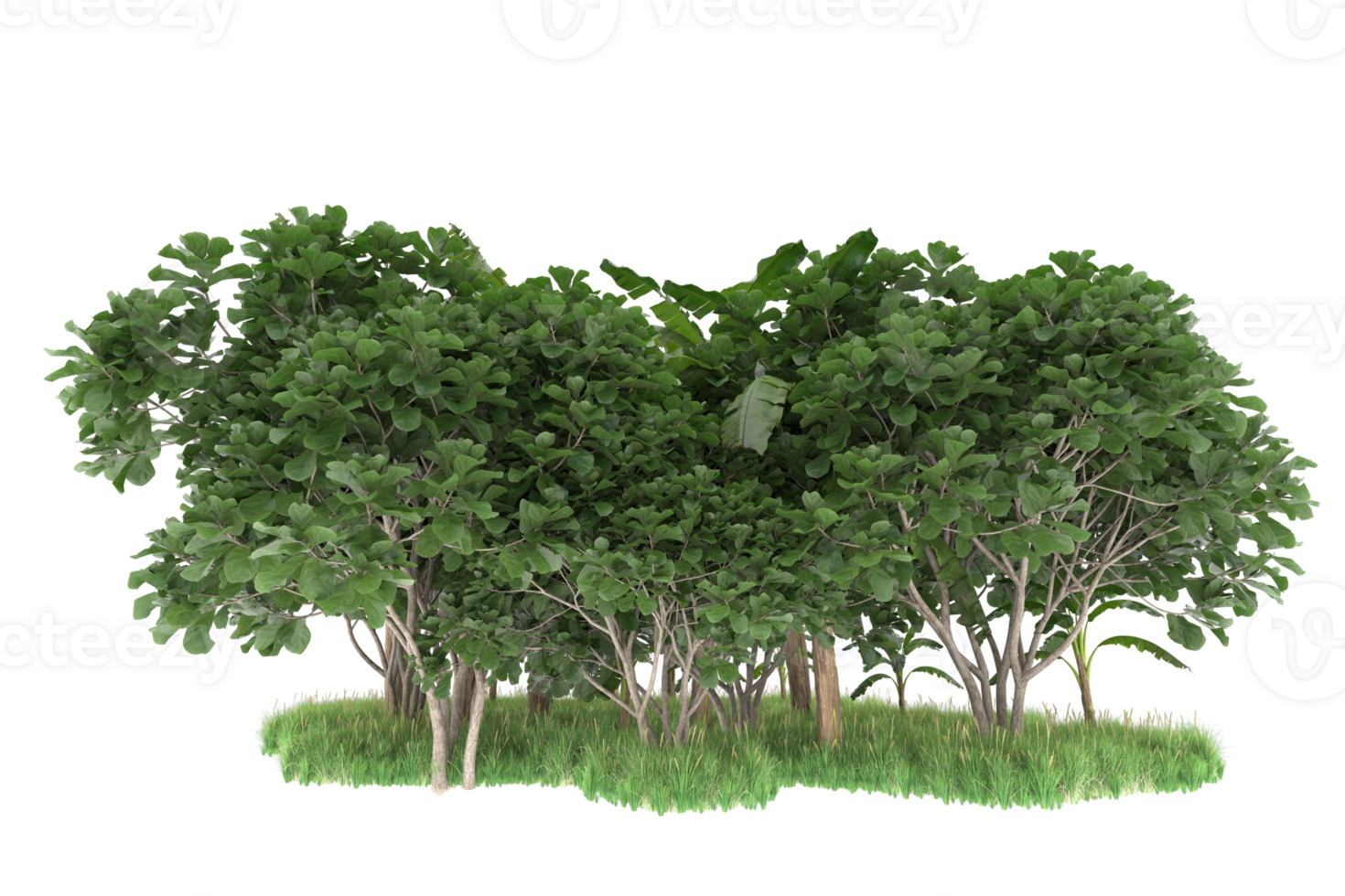 Realistic forest isolated on transparent background. 3d rendering - illustration png
