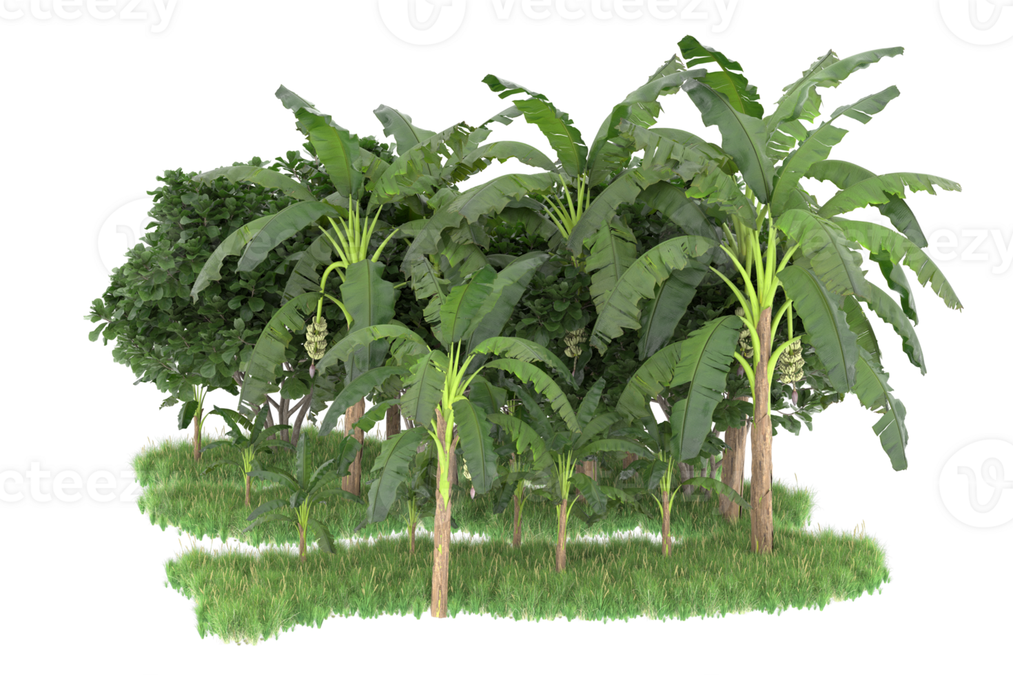 Realistic forest isolated on transparent background. 3d rendering - illustration png