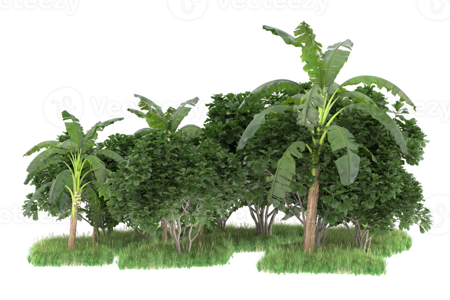 Realistic forest isolated on transparent background. 3d rendering - illustration png