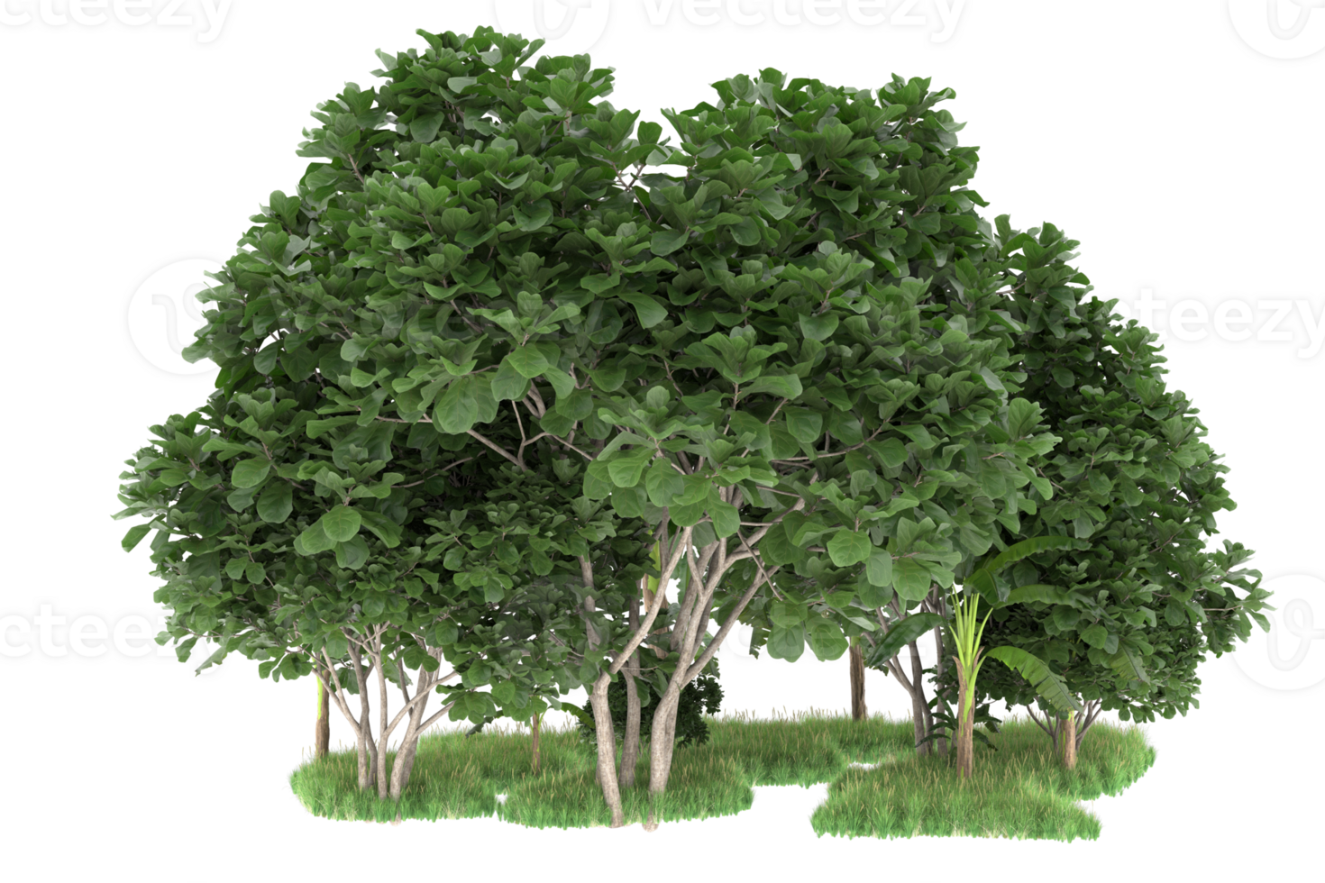 Realistic forest isolated on transparent background. 3d rendering - illustration png