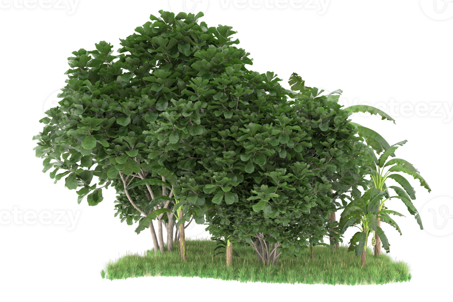 Realistic forest isolated on transparent background. 3d rendering - illustration png