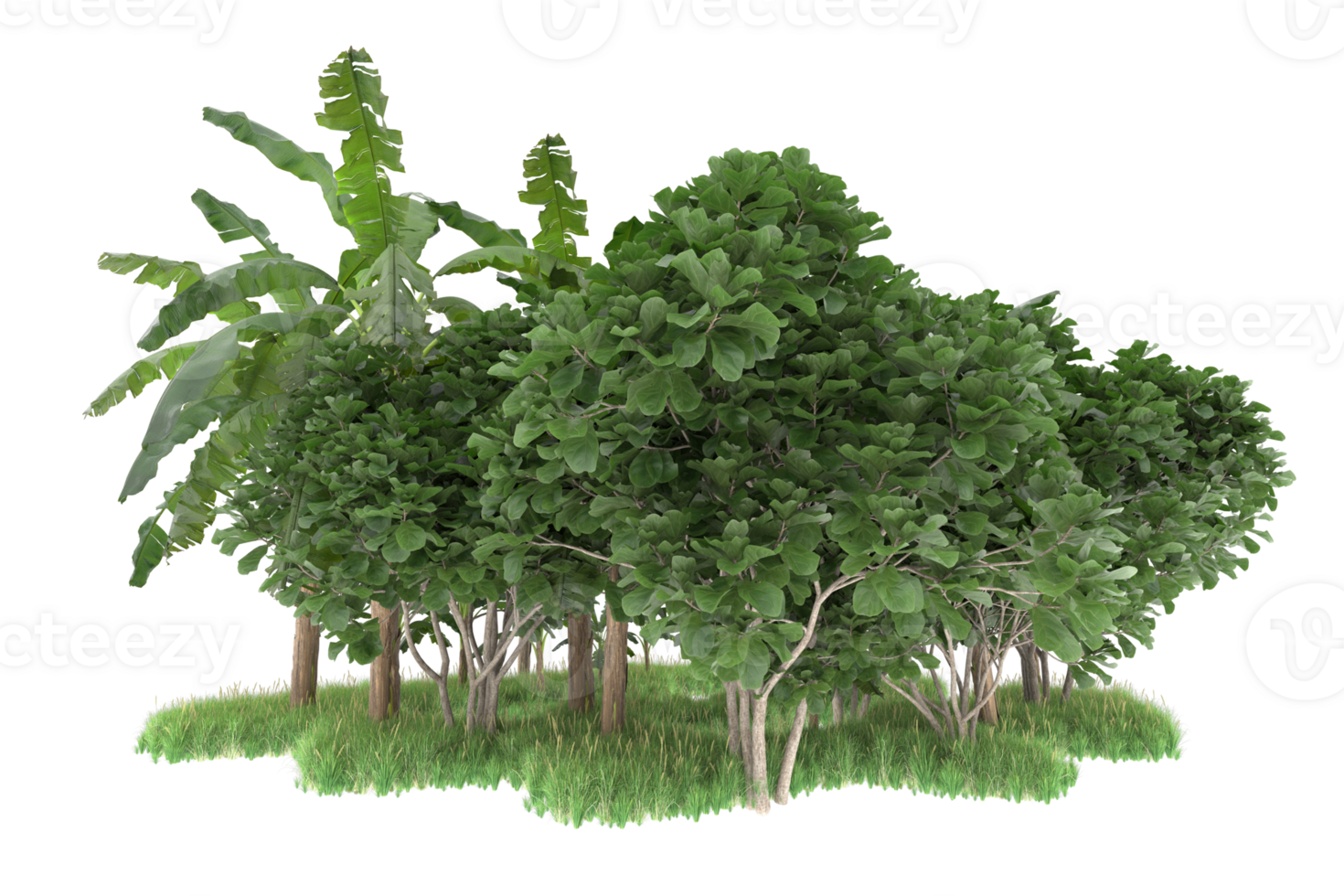 Realistic forest isolated on transparent background. 3d rendering - illustration png
