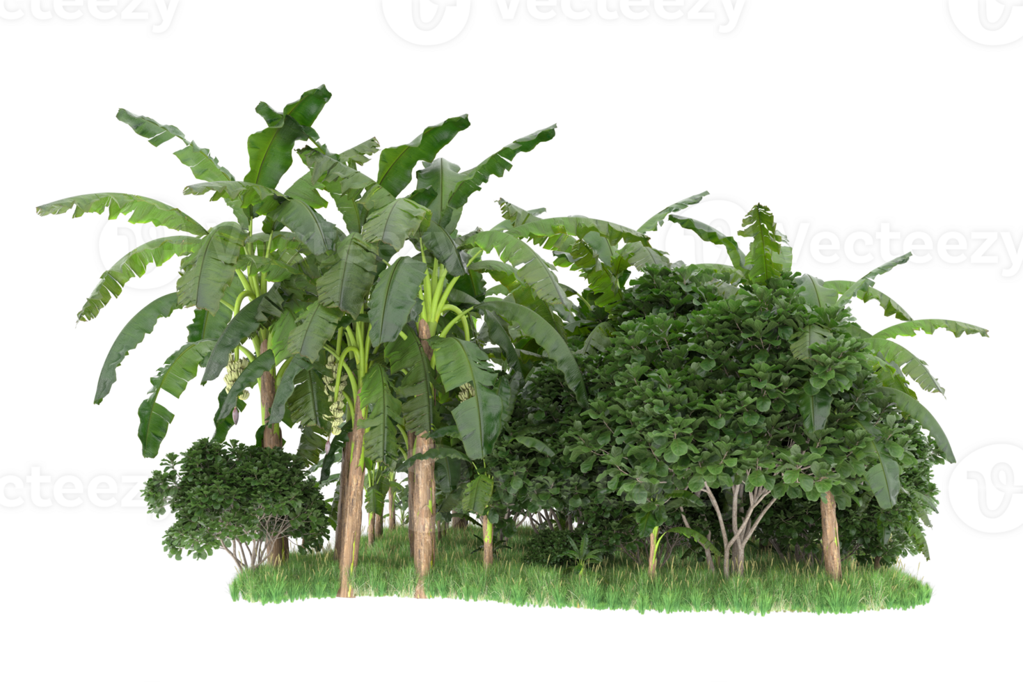 Realistic forest isolated on transparent background. 3d rendering - illustration png