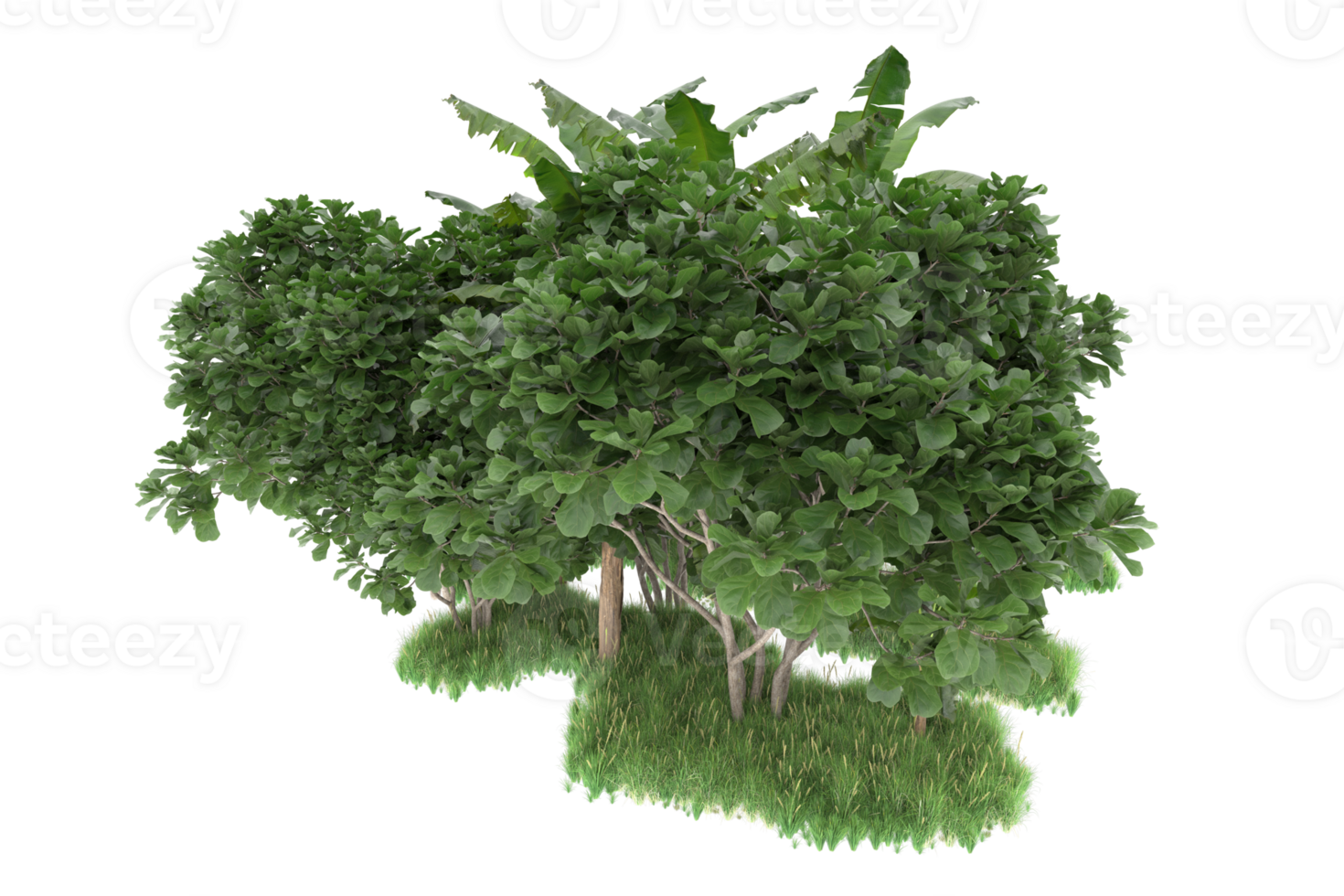 Realistic forest isolated on transparent background. 3d rendering - illustration png