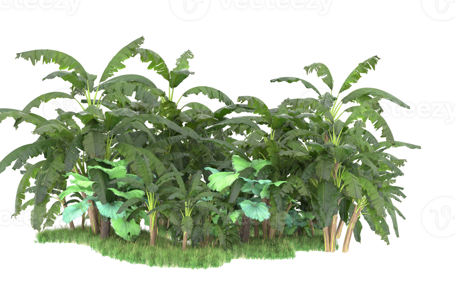 Realistic forest isolated on transparent background. 3d rendering - illustration png