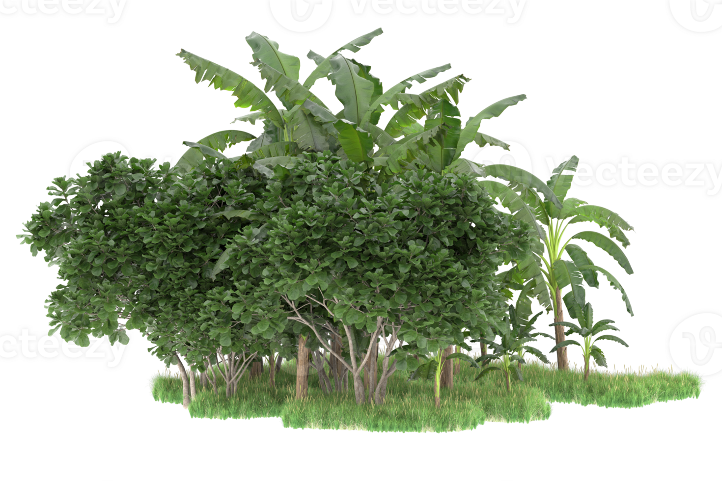 Realistic forest isolated on transparent background. 3d rendering - illustration png