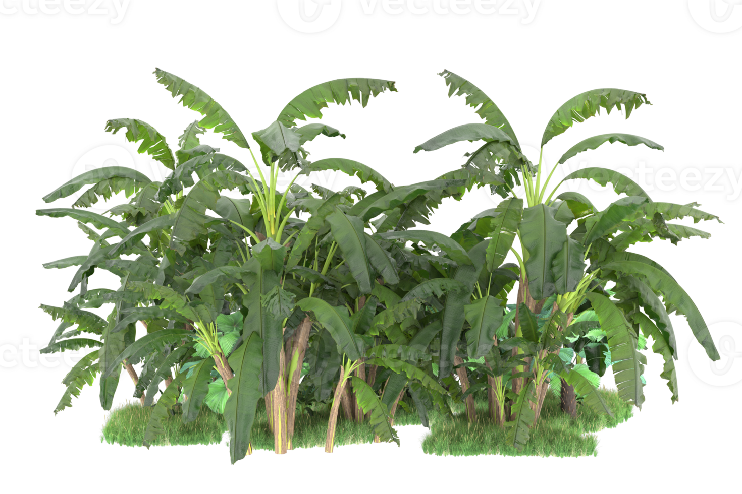 Realistic forest isolated on transparent background. 3d rendering - illustration png