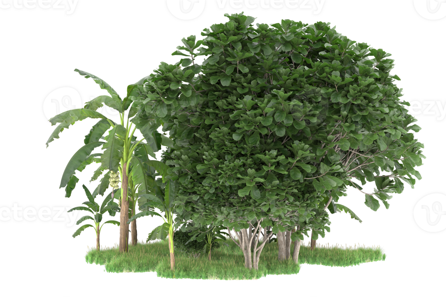 Realistic forest isolated on transparent background. 3d rendering - illustration png