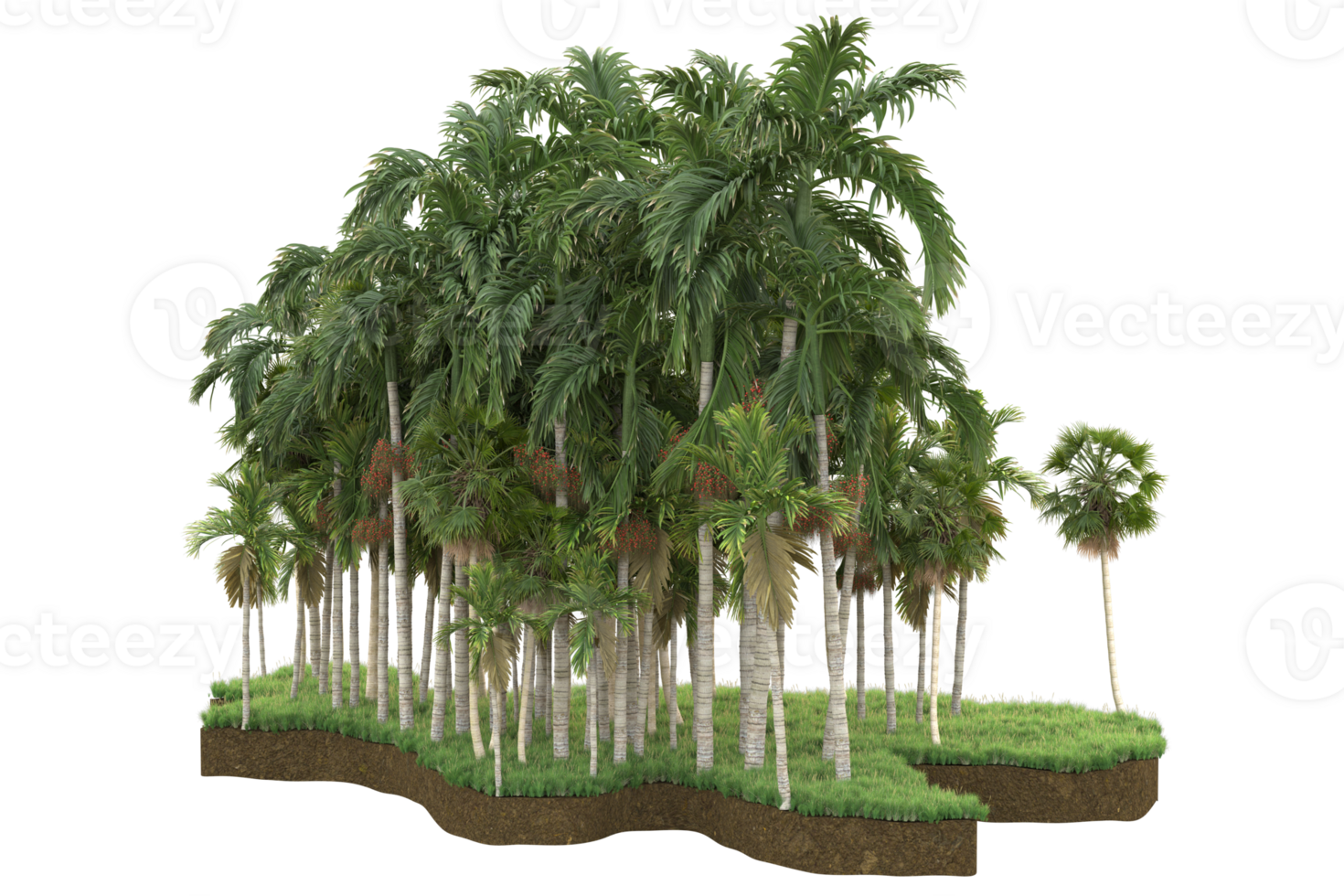 Realistic forest isolated on transparent background. 3d rendering - illustration png