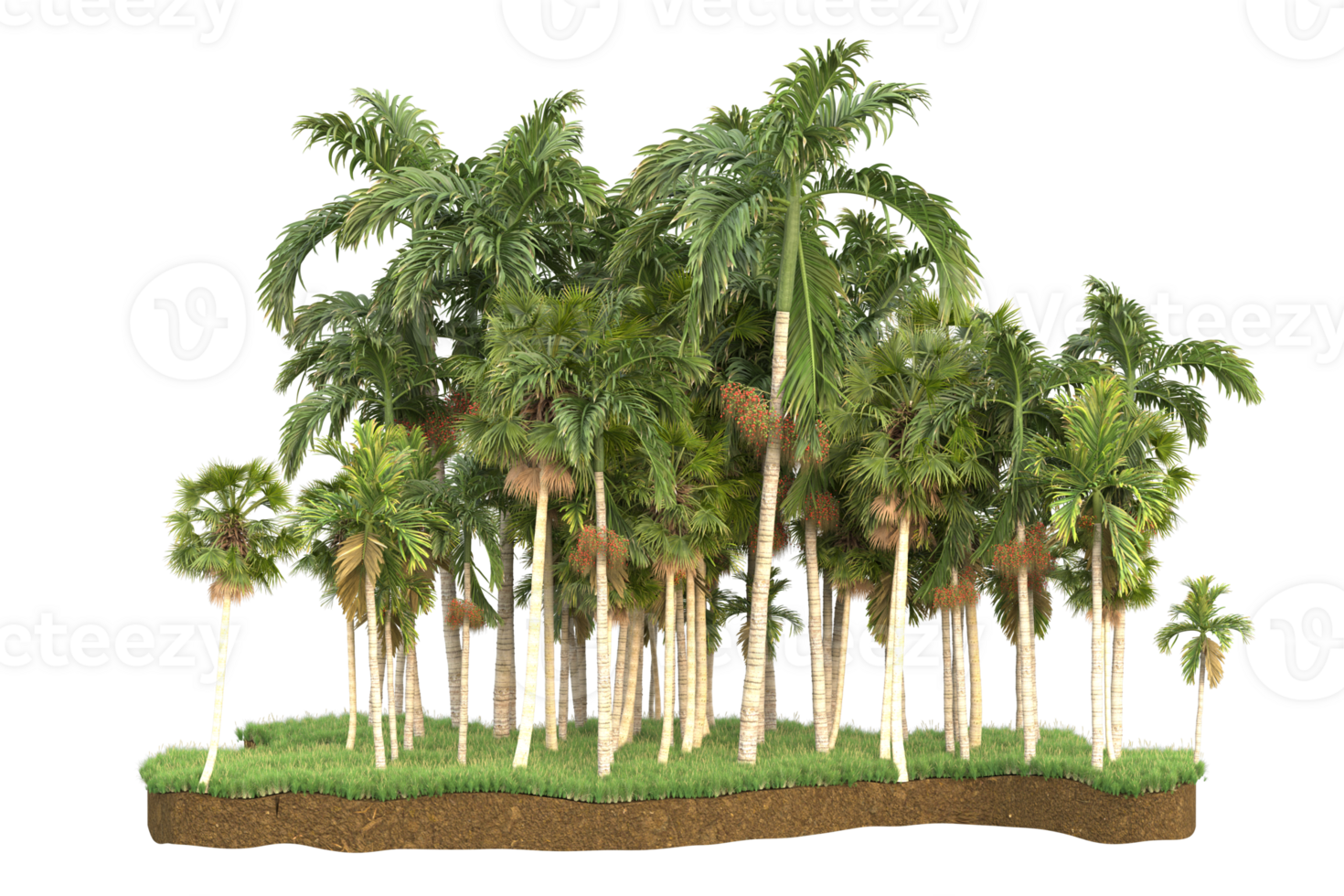 Realistic forest isolated on transparent background. 3d rendering - illustration png