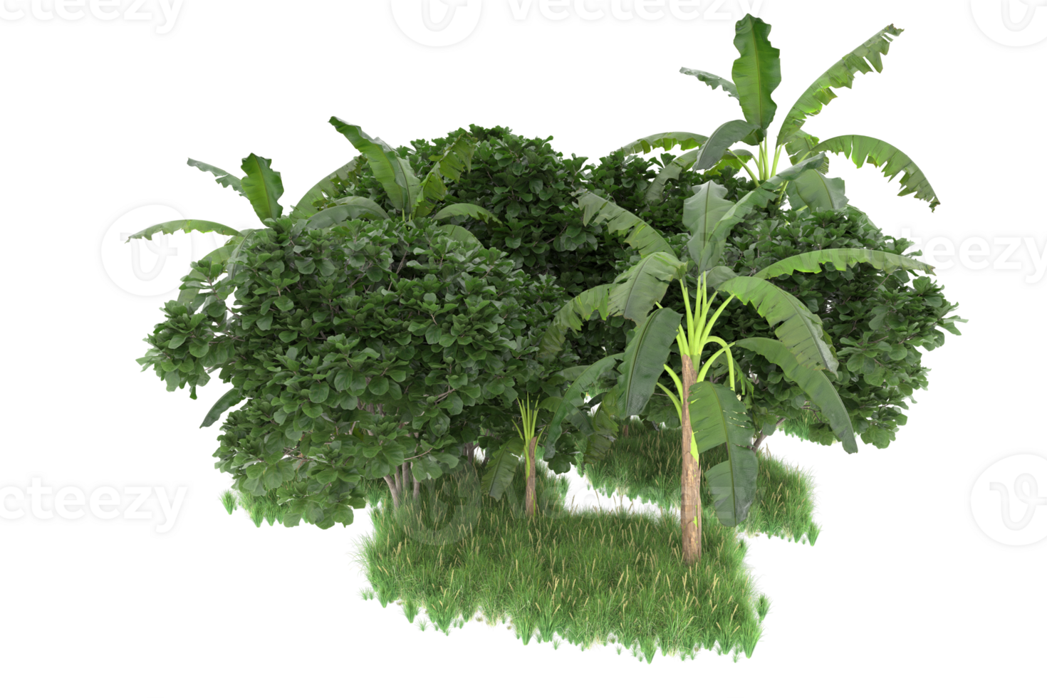 Realistic forest isolated on transparent background. 3d rendering - illustration png