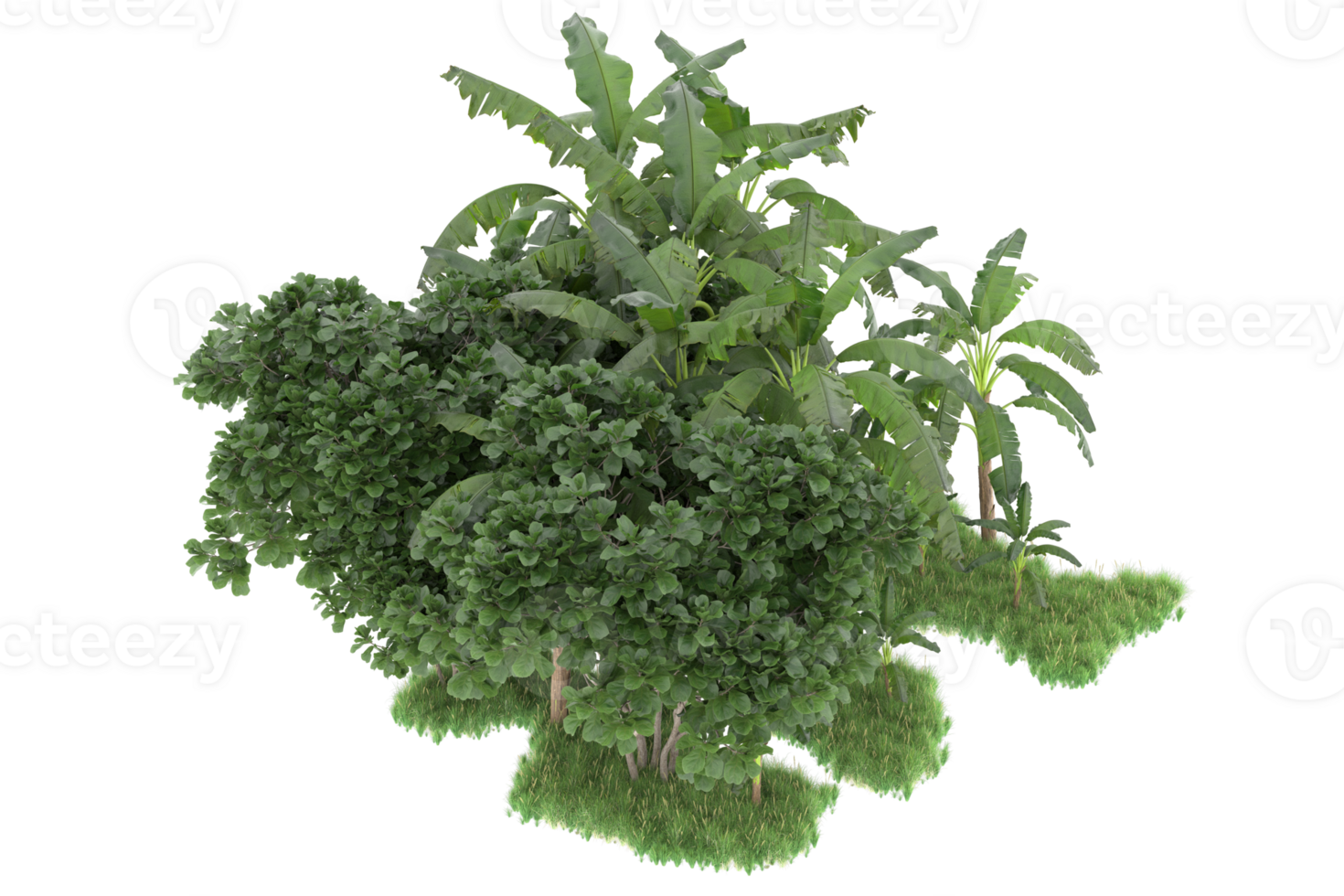 Realistic forest isolated on transparent background. 3d rendering - illustration png