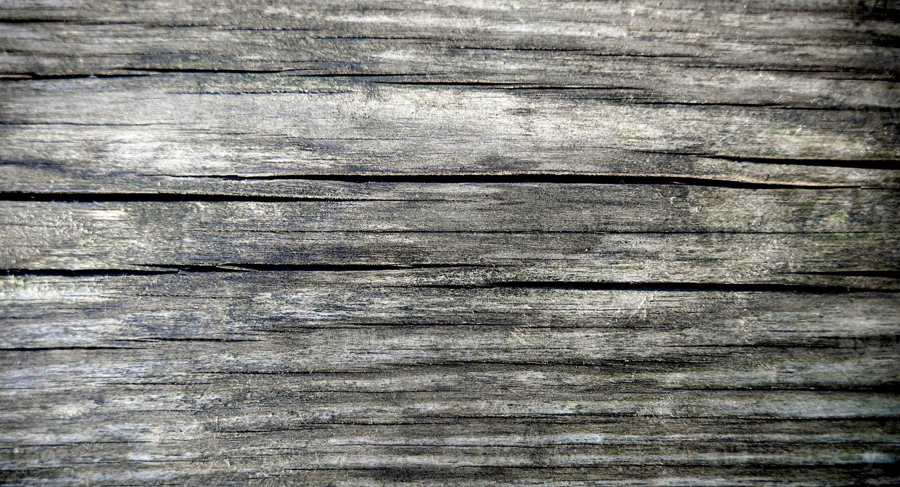 Texture of natural old wood with a cracks. Top view. Close-up. Selective focus. photo