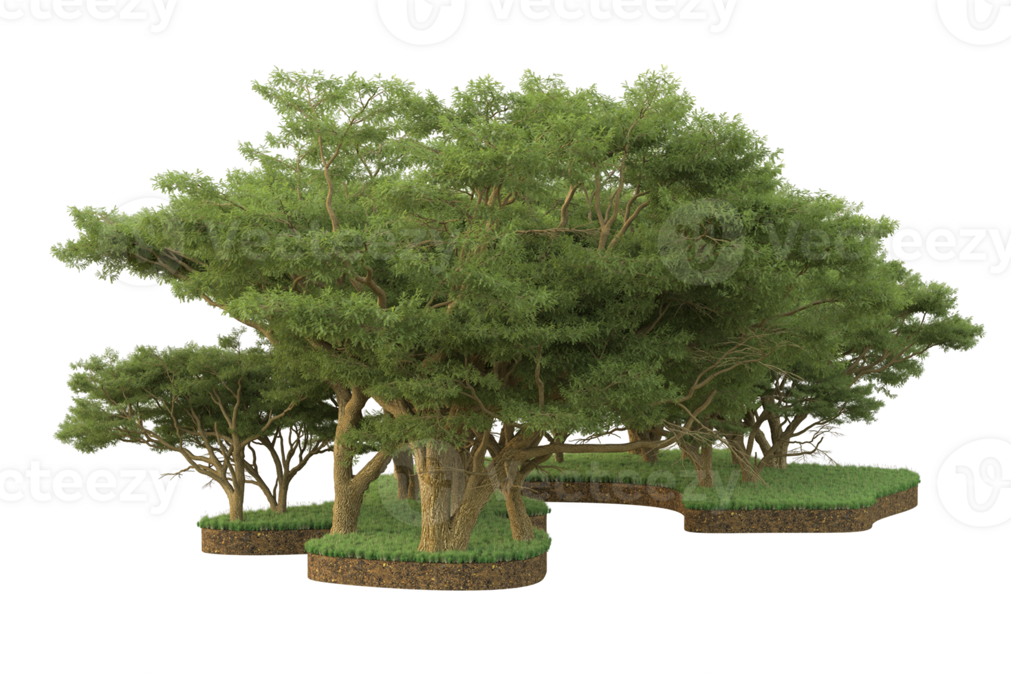 Realistic forest isolated on transparent background. 3d rendering - illustration png