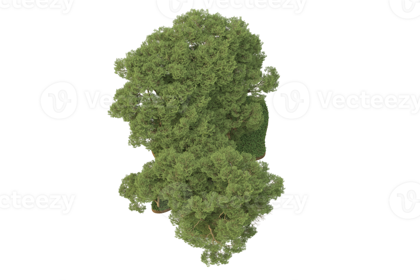 Realistic forest isolated on transparent background. 3d rendering - illustration png