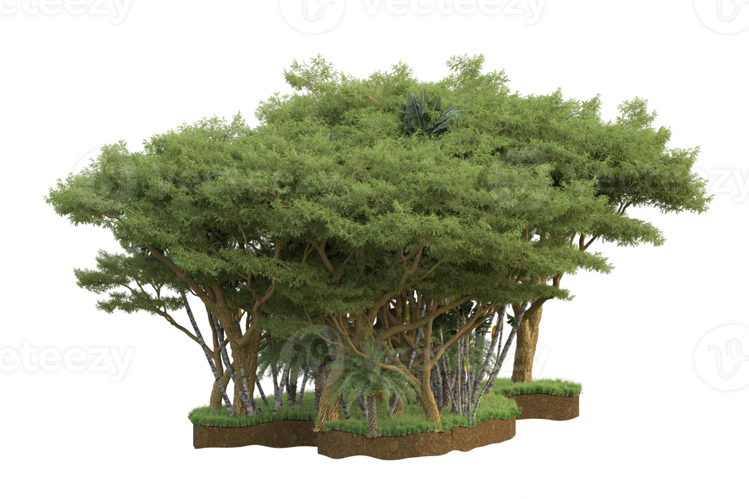 Realistic forest isolated on transparent background. 3d rendering - illustration png