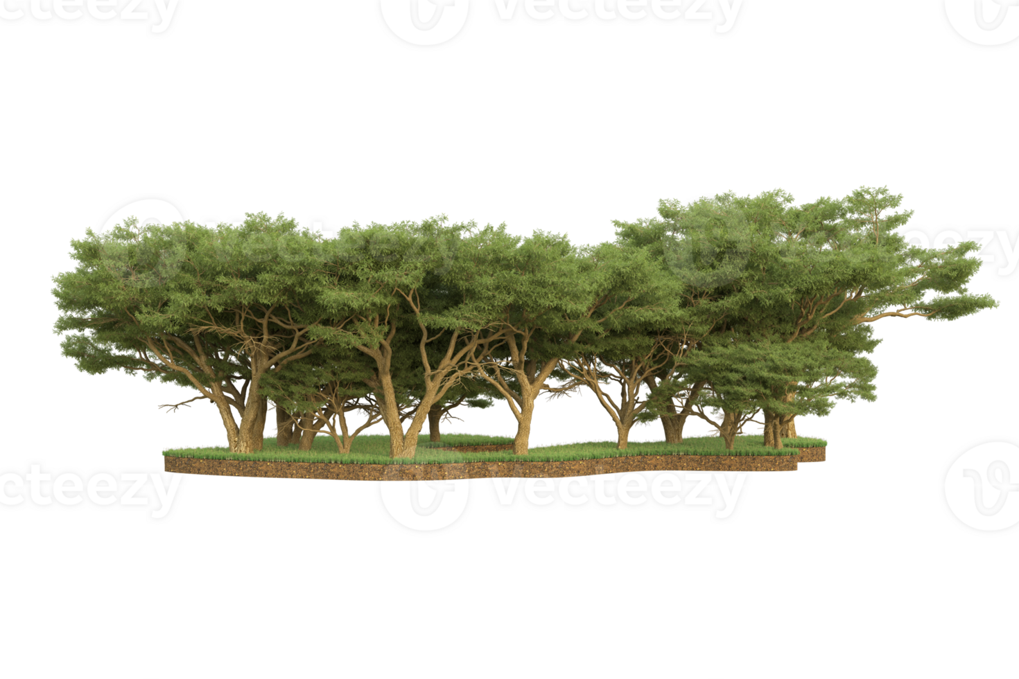 Realistic forest isolated on transparent background. 3d rendering - illustration png