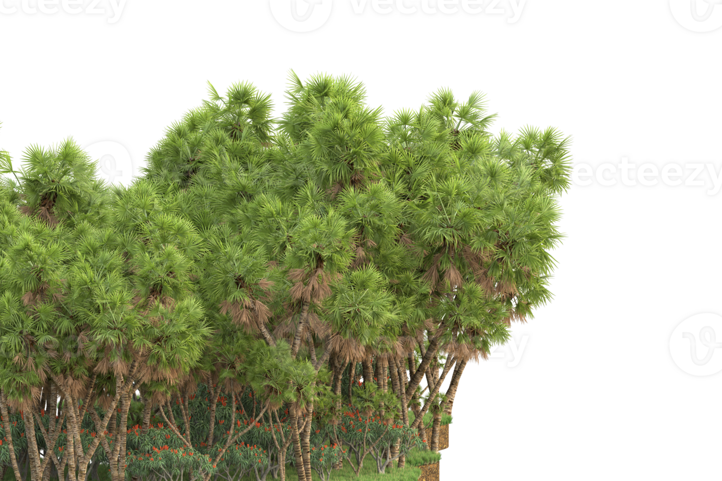 Realistic forest isolated on transparent background. 3d rendering - illustration png