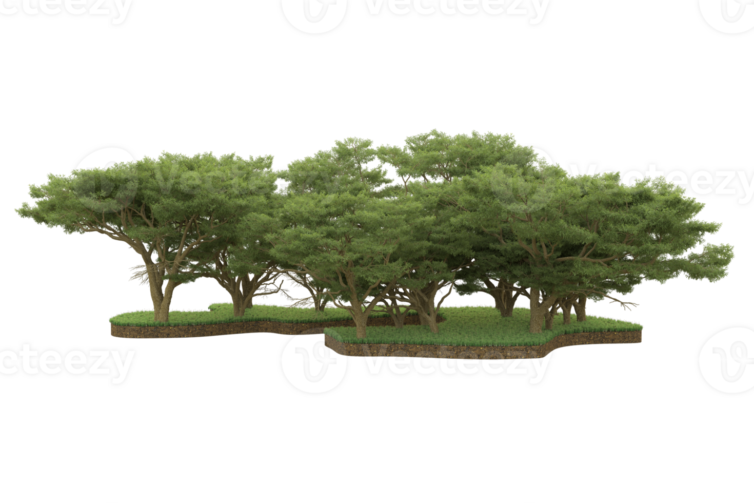 Realistic forest isolated on transparent background. 3d rendering - illustration png