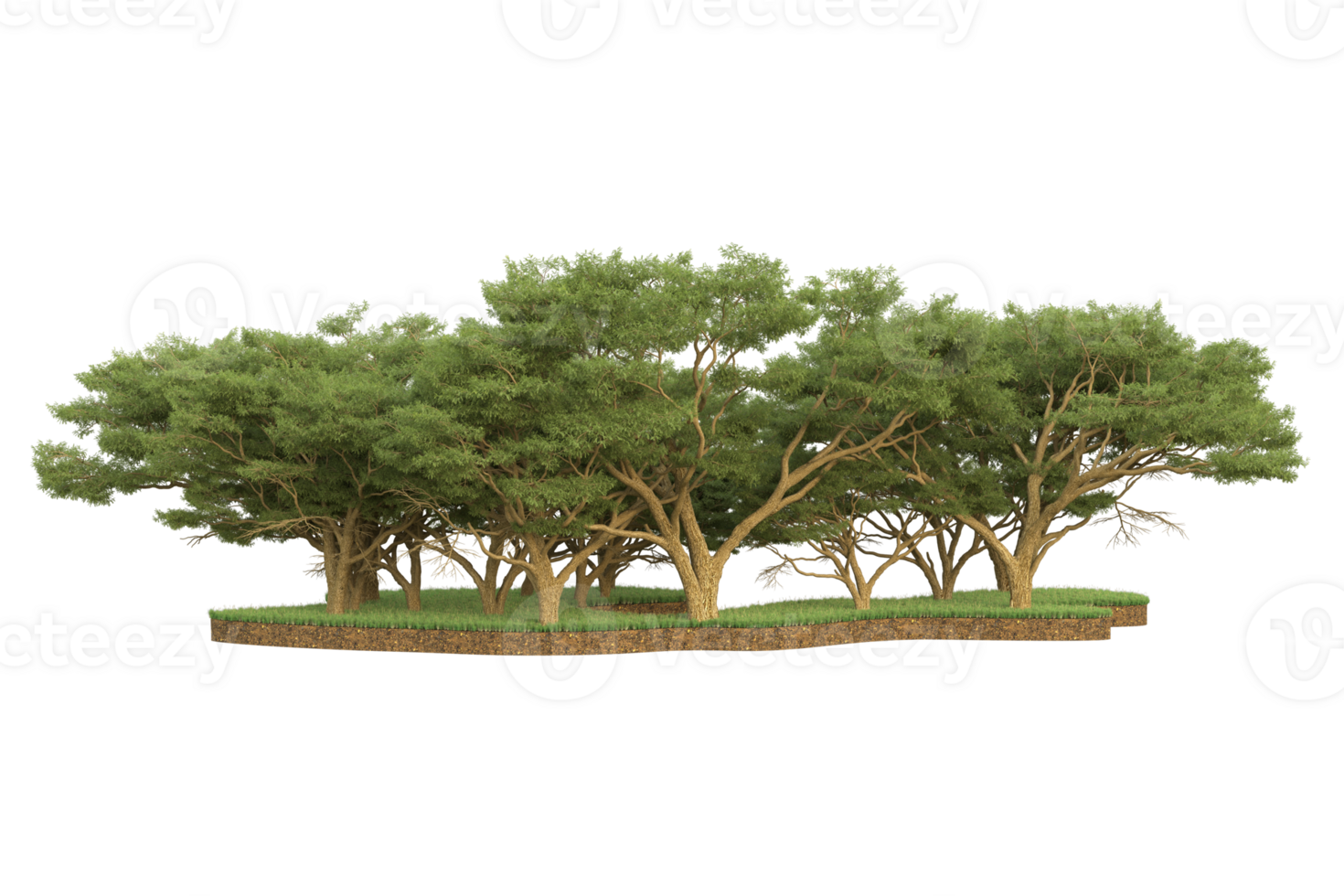 Realistic forest isolated on transparent background. 3d rendering - illustration png