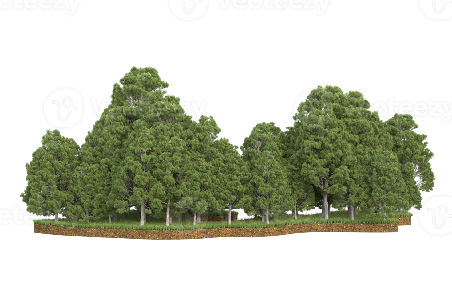 Realistic forest isolated on transparent background. 3d rendering - illustration png