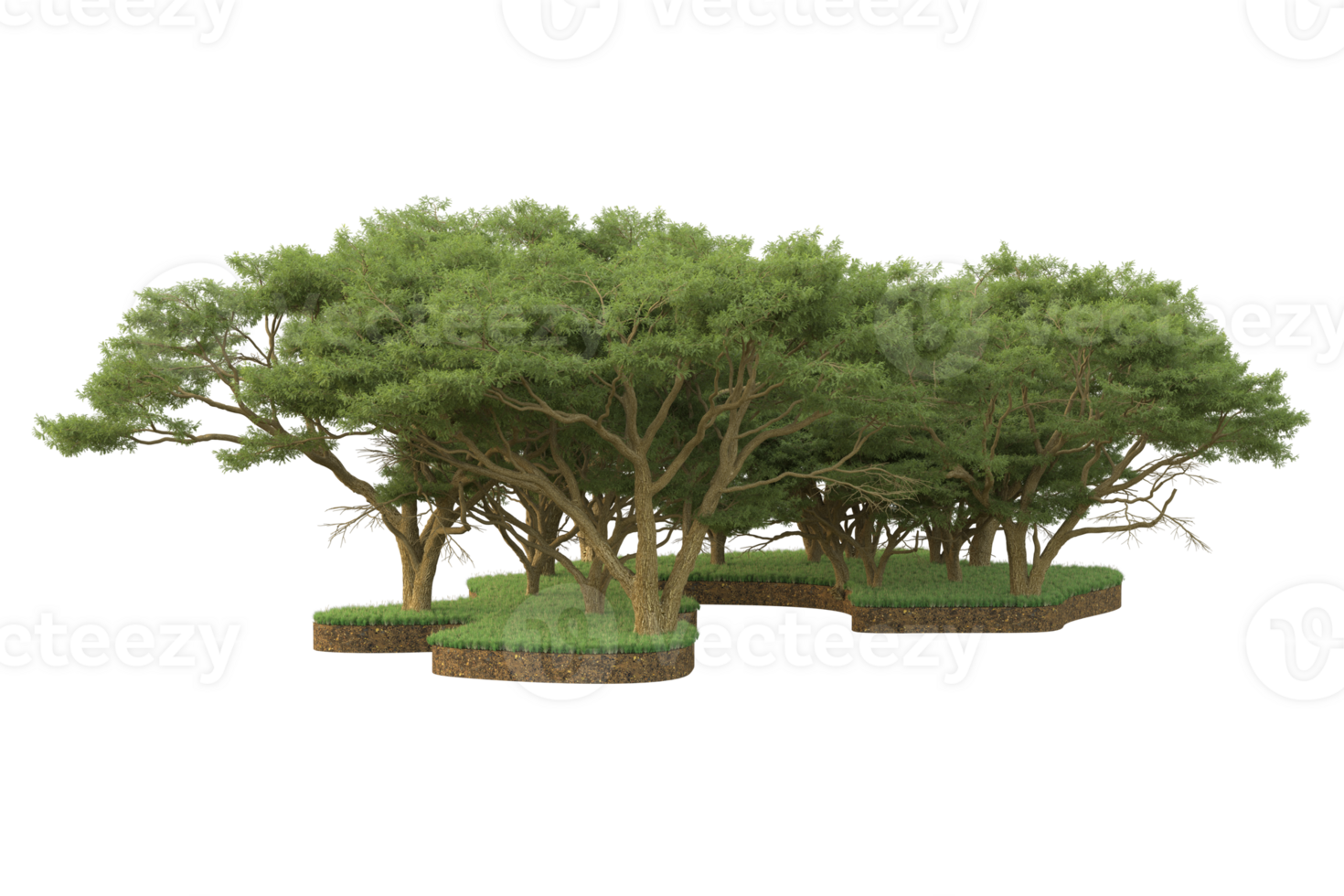 Realistic forest isolated on transparent background. 3d rendering - illustration png