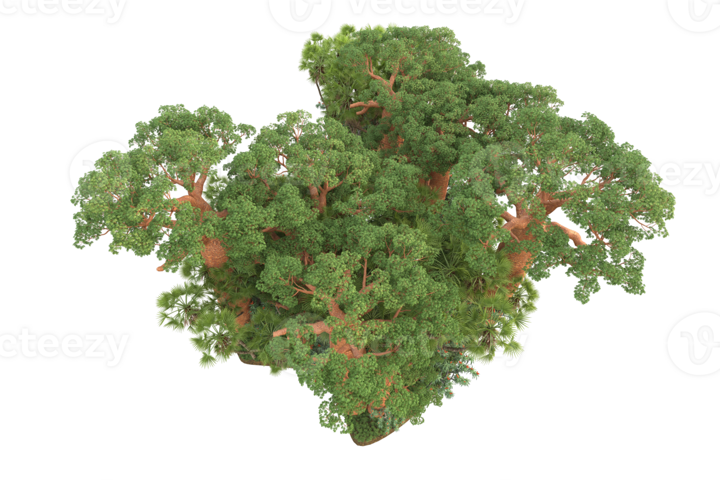 Realistic forest isolated on transparent background. 3d rendering - illustration png
