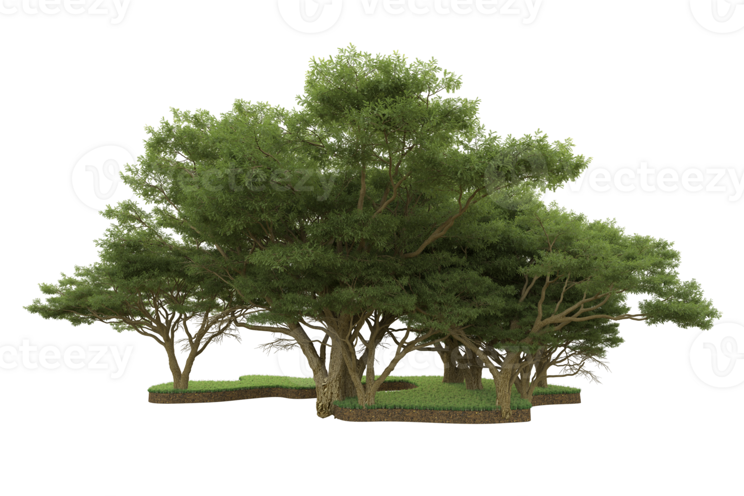 Realistic forest isolated on transparent background. 3d rendering - illustration png