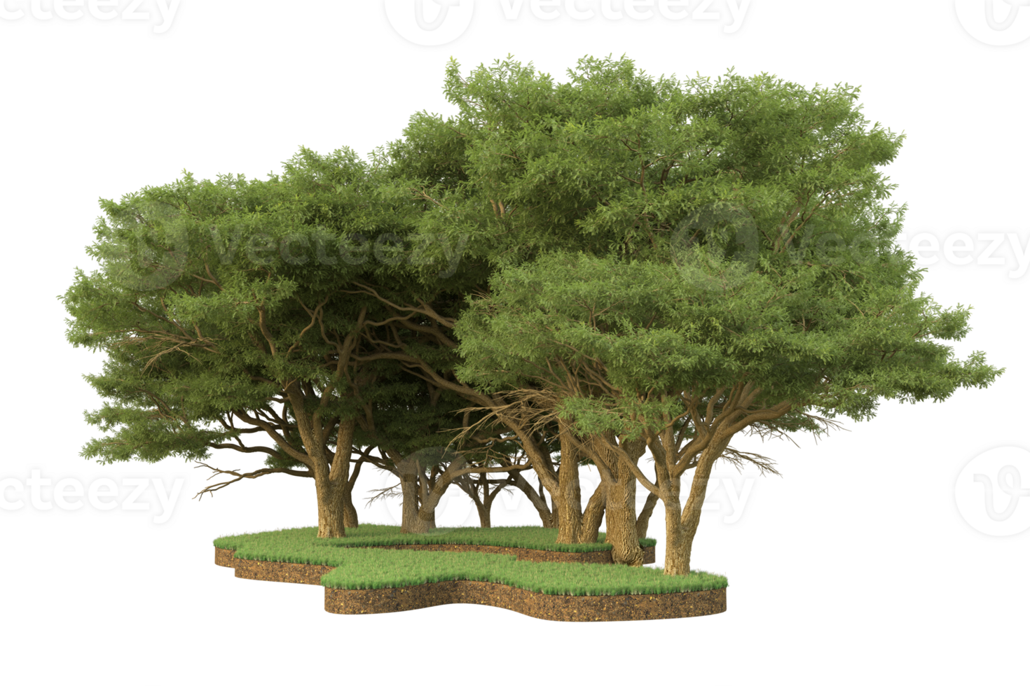 Realistic forest isolated on transparent background. 3d rendering - illustration png