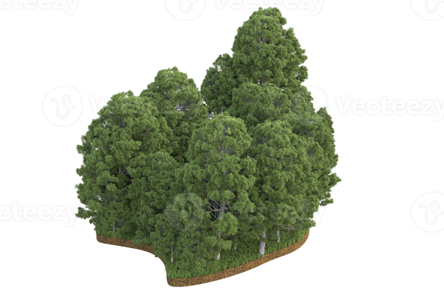 Realistic forest isolated on transparent background. 3d rendering - illustration png