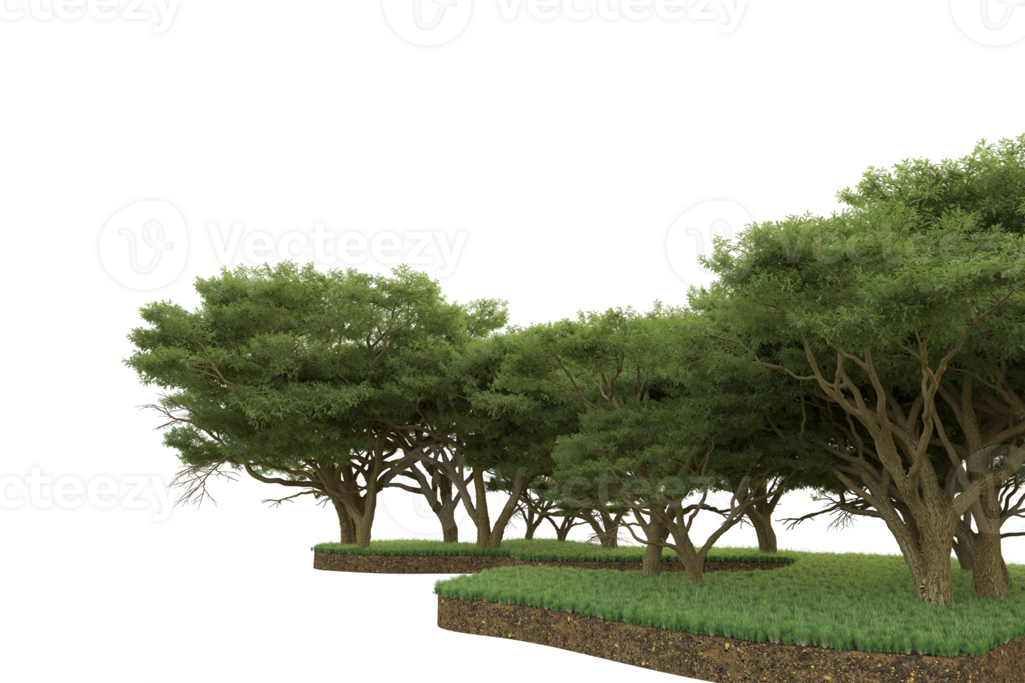 Realistic forest isolated on transparent background. 3d rendering - illustration png