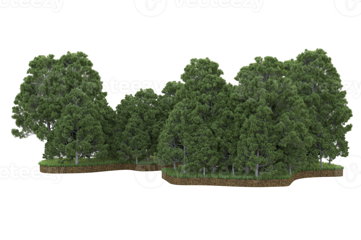 Realistic forest isolated on transparent background. 3d rendering - illustration png