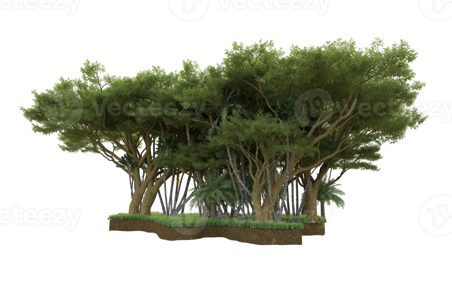 Realistic forest isolated on transparent background. 3d rendering - illustration png