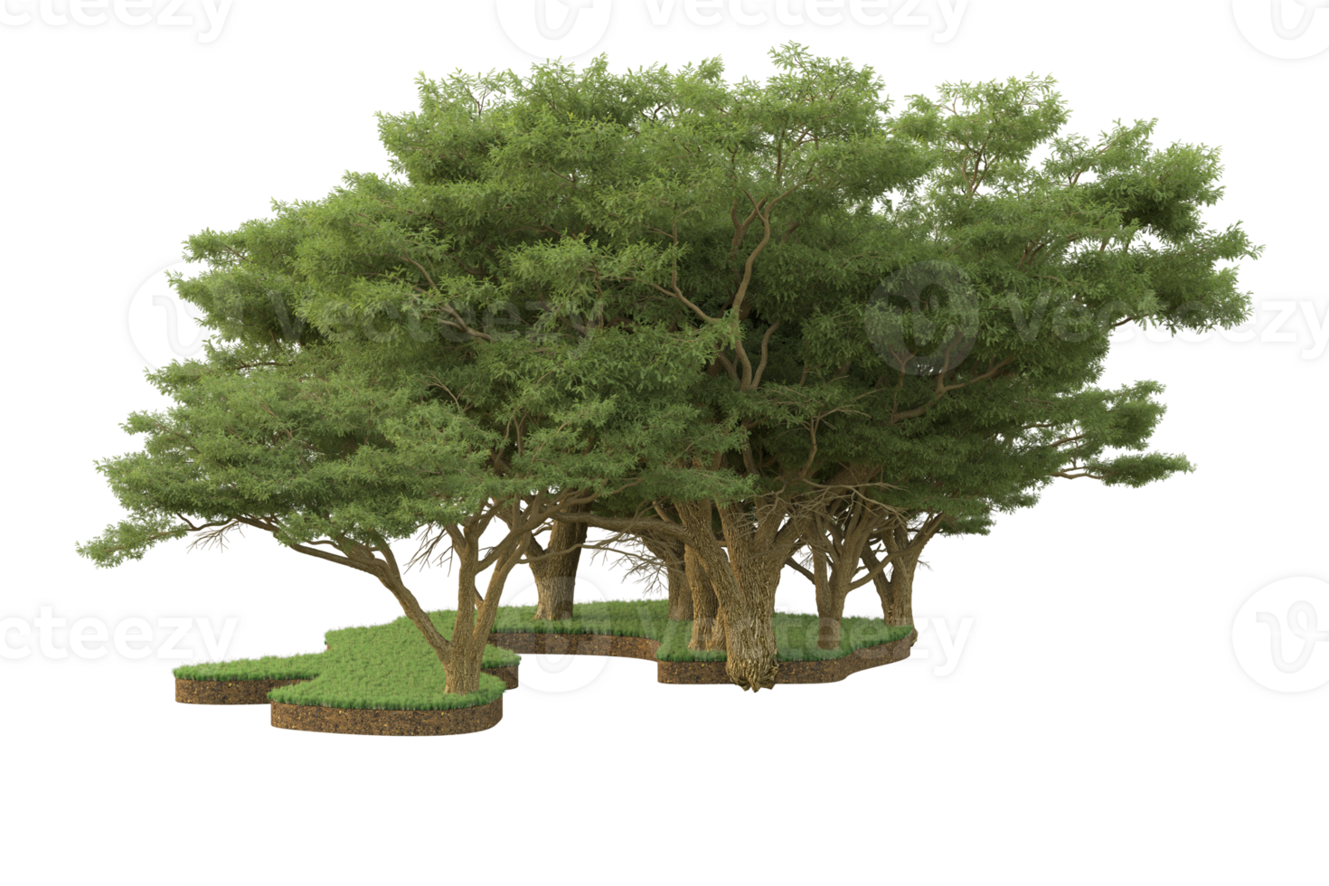 Realistic forest isolated on transparent background. 3d rendering - illustration png
