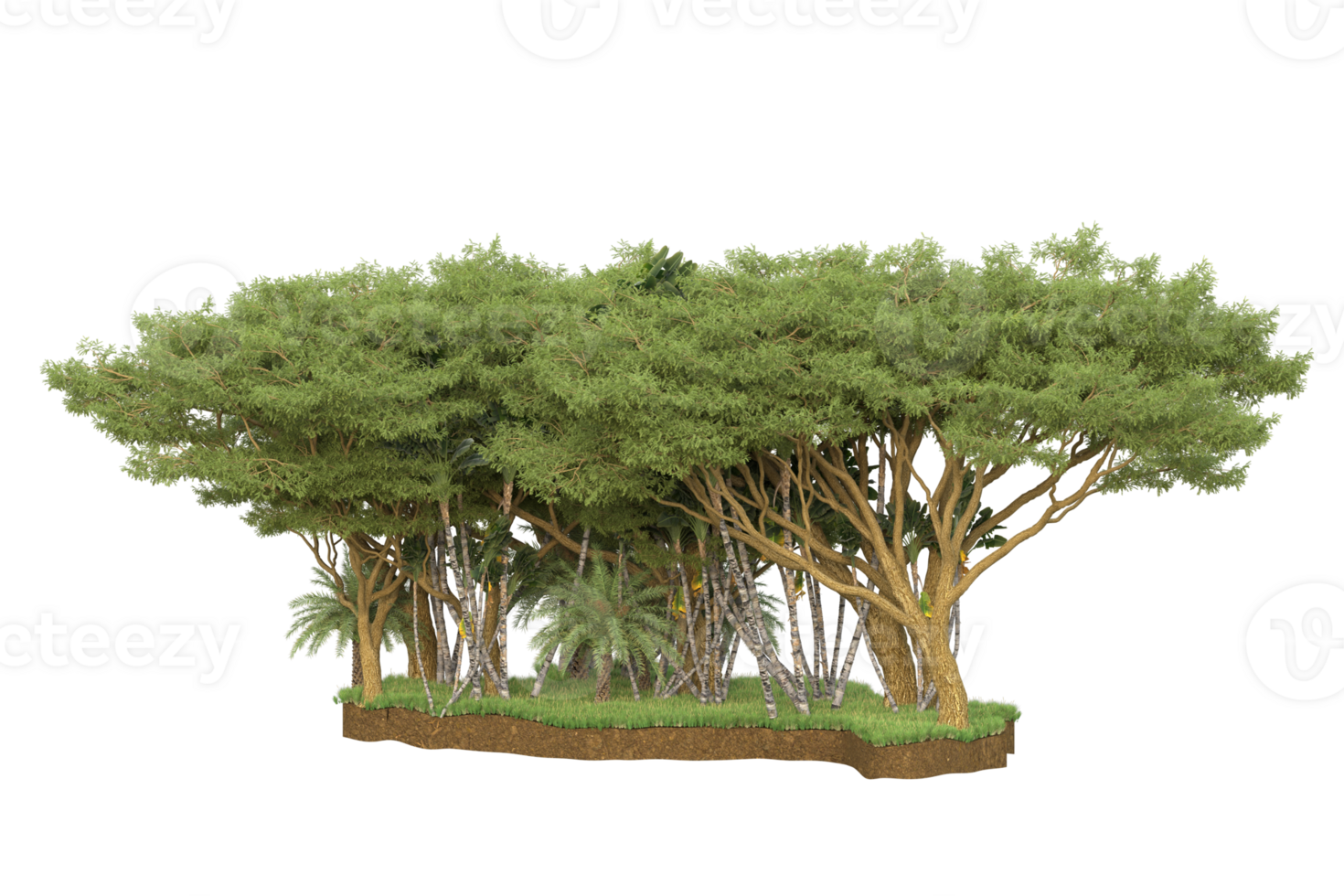 Realistic forest isolated on transparent background. 3d rendering - illustration png