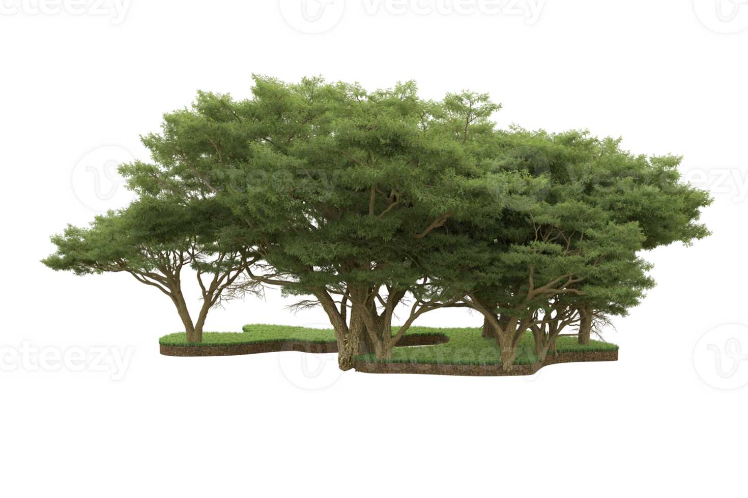 Realistic forest isolated on transparent background. 3d rendering - illustration png