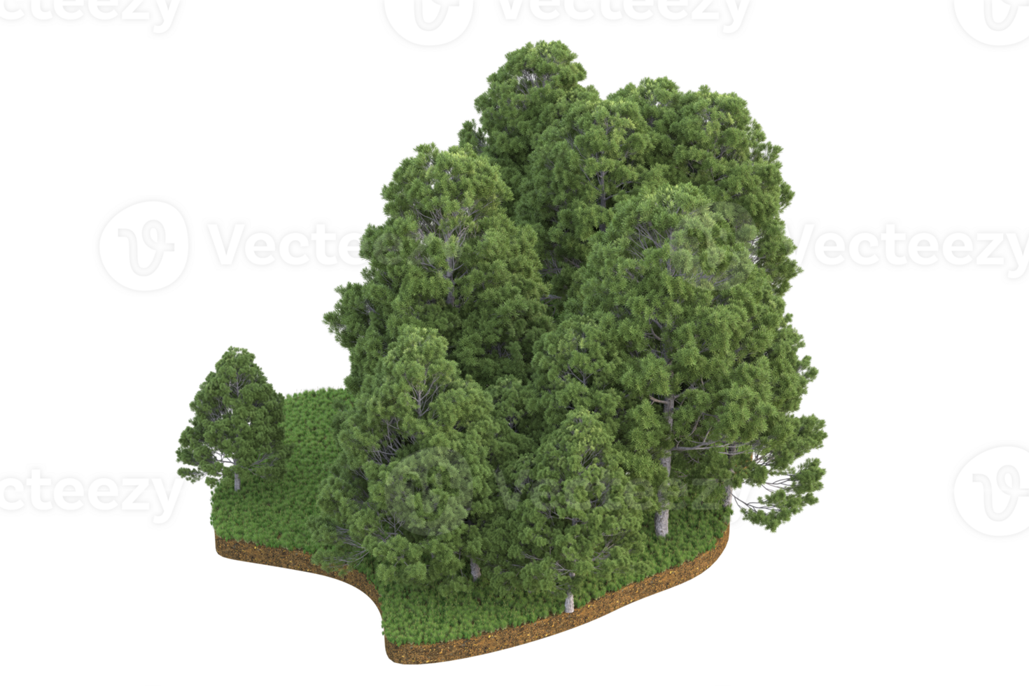 Realistic forest isolated on transparent background. 3d rendering - illustration png