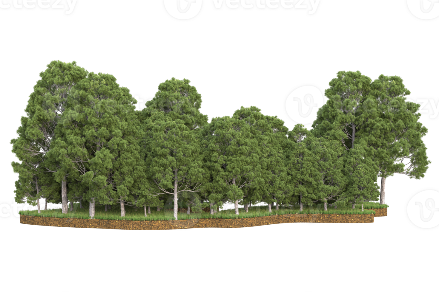 Realistic forest isolated on transparent background. 3d rendering - illustration png