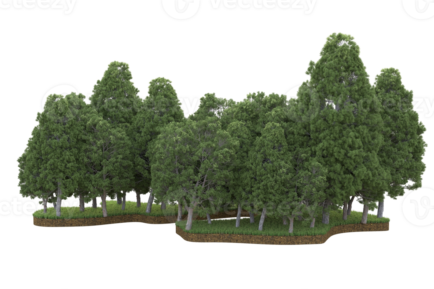 Realistic forest isolated on transparent background. 3d rendering - illustration png