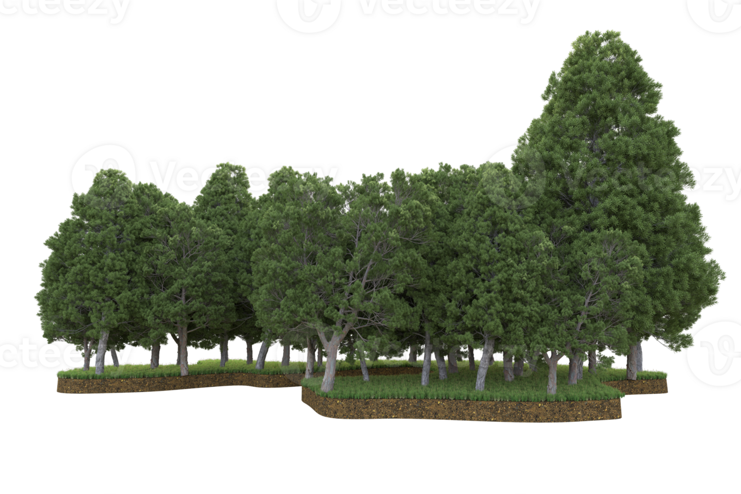 Realistic forest isolated on transparent background. 3d rendering - illustration png