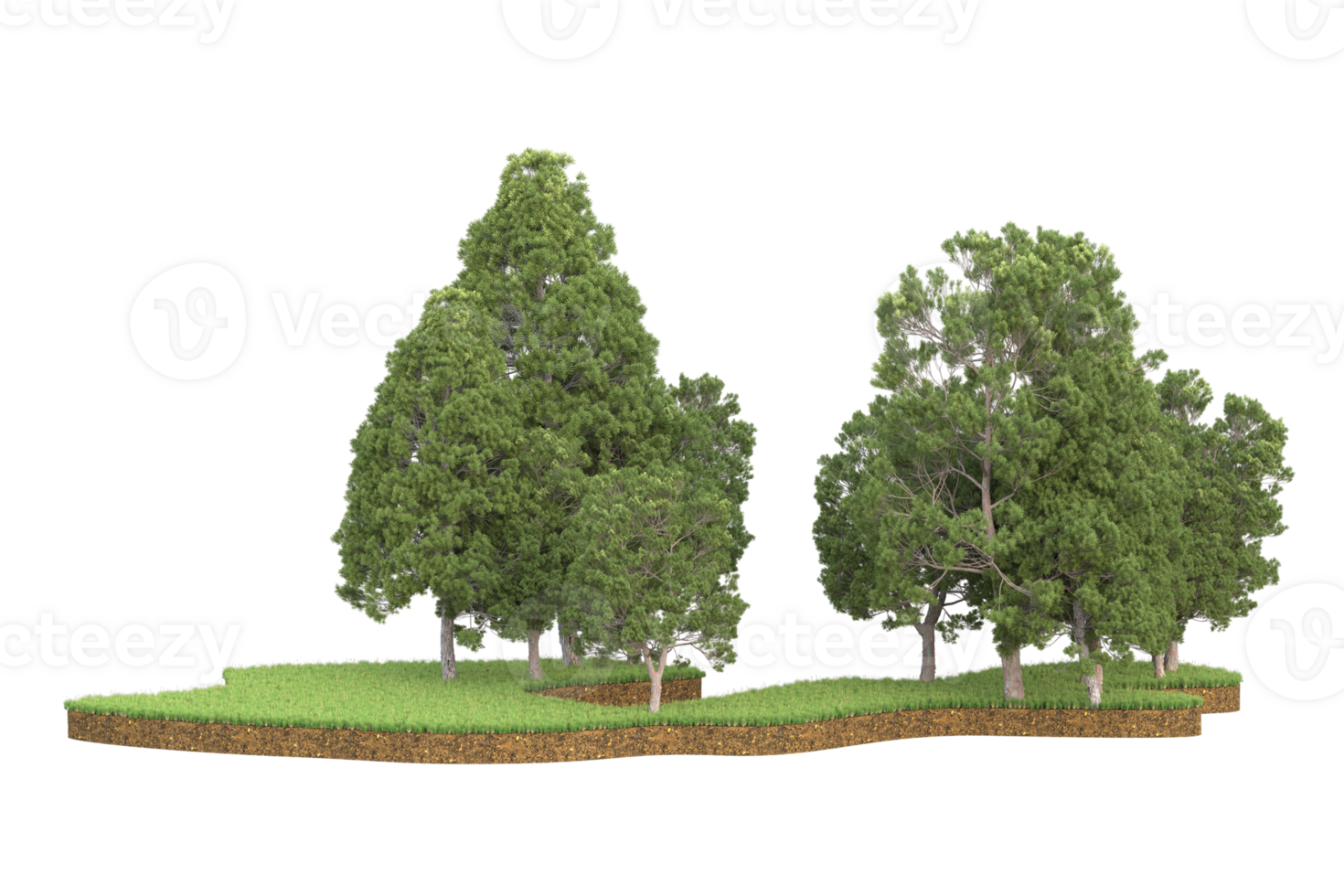 Realistic forest isolated on transparent background. 3d rendering - illustration png