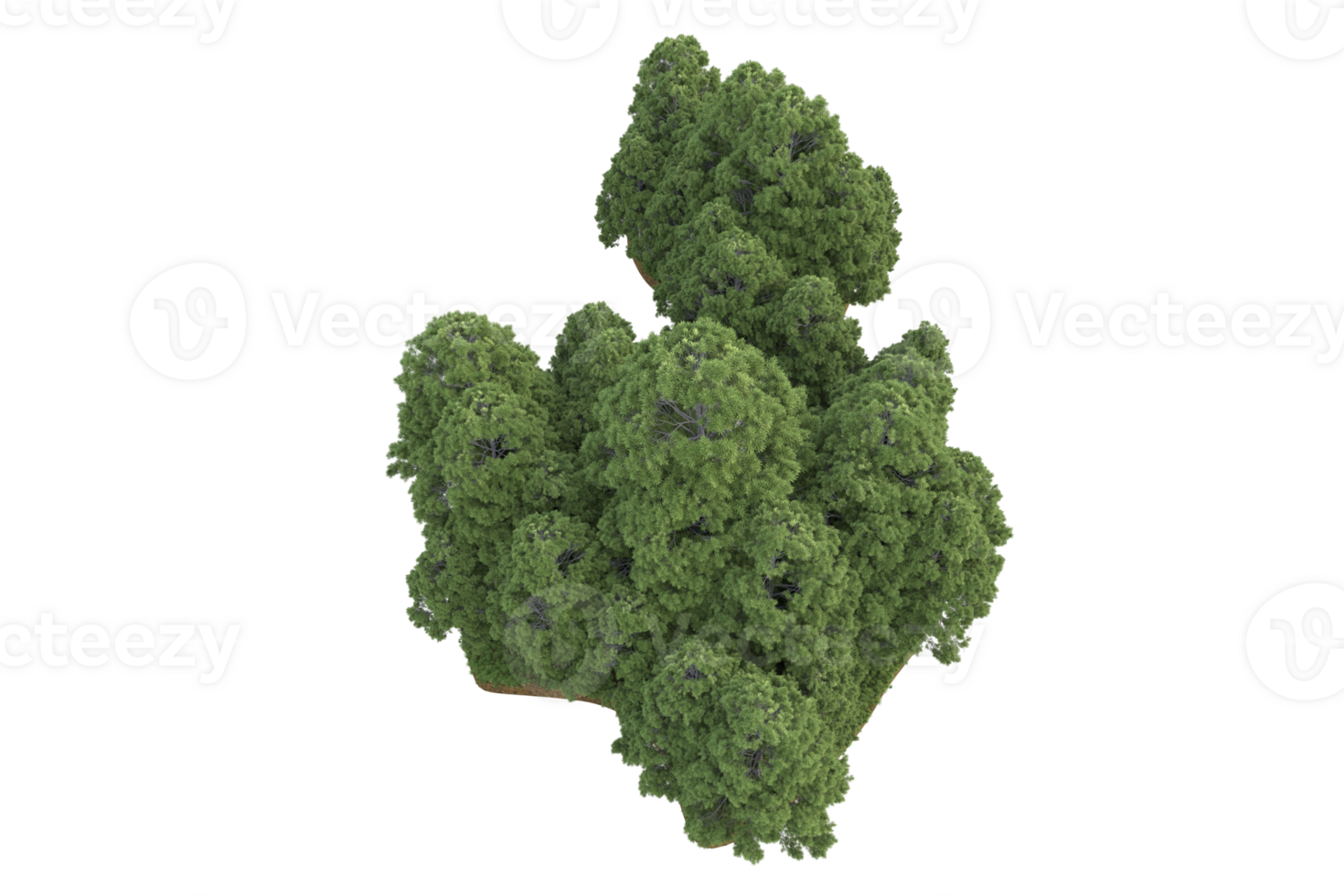 Realistic forest isolated on transparent background. 3d rendering - illustration png