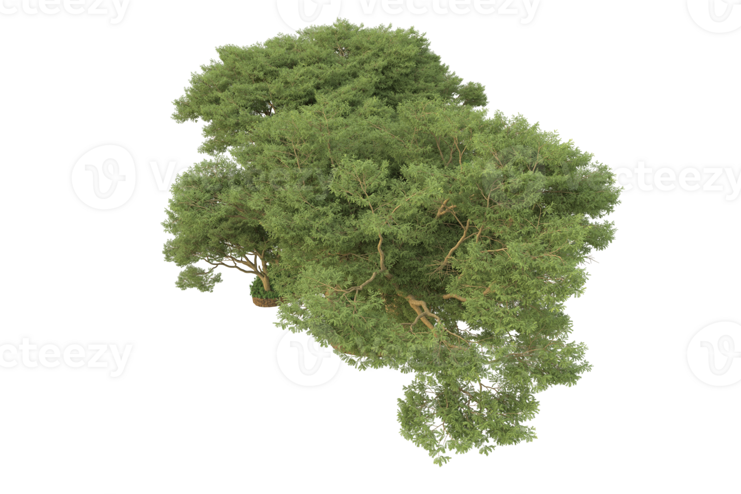 Realistic forest isolated on transparent background. 3d rendering - illustration png