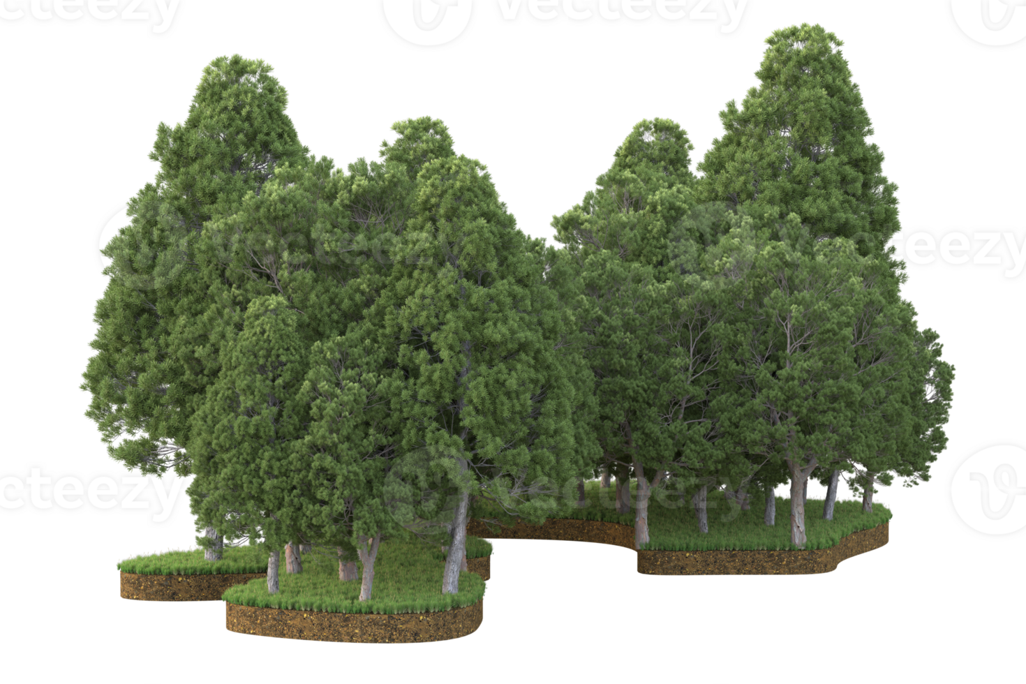 Realistic forest isolated on transparent background. 3d rendering - illustration png