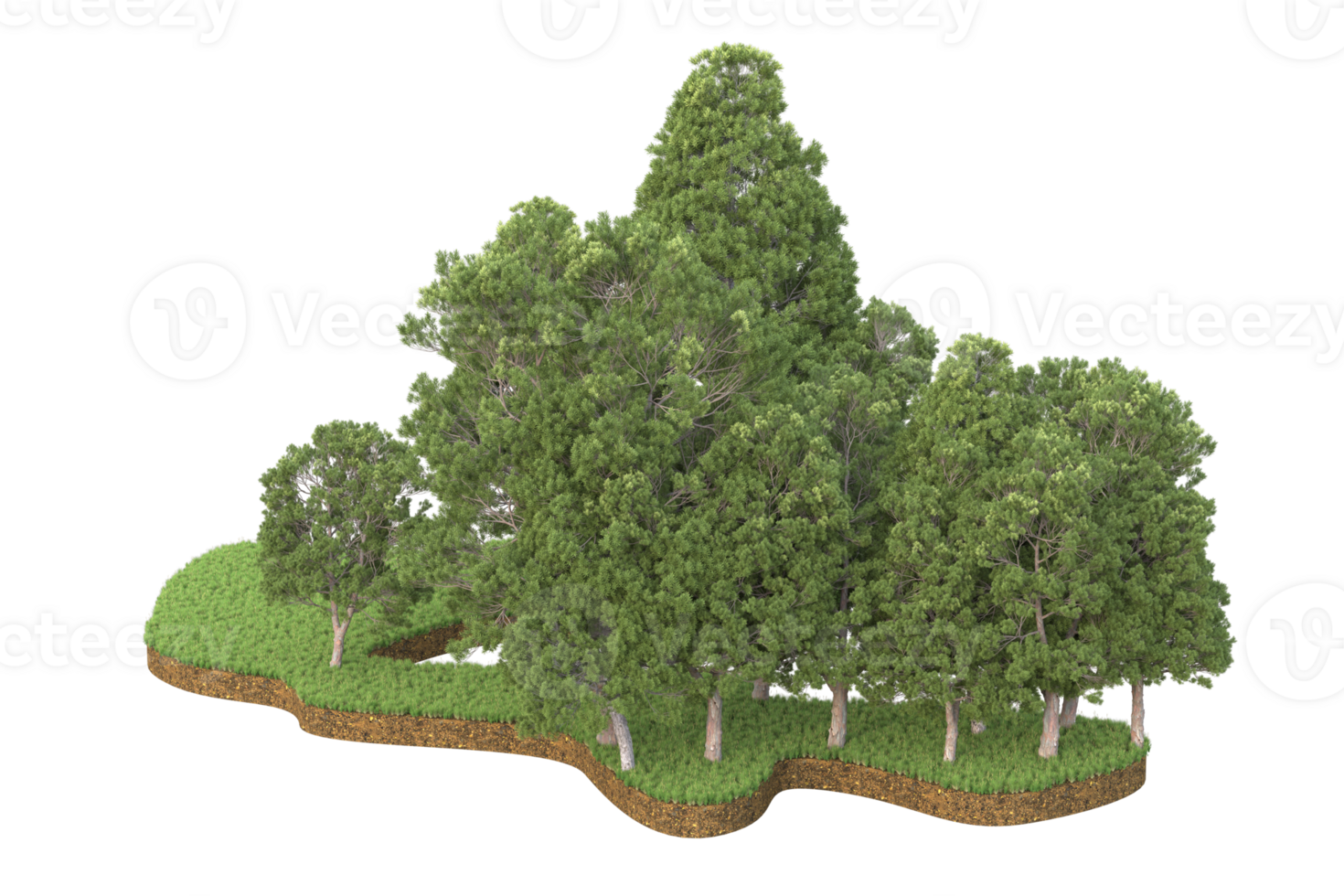 Realistic forest isolated on transparent background. 3d rendering - illustration png